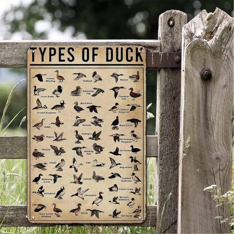 LIZATIC Types of Duck Sign - Duck Hunting Accessories, Vintage Metal Duck Decor Sign for Duck Hunting Gear, Outdoor, Kids Room Wall Decor Art, Cool Stuff Duck Hunting Gifts for Men Boys, 8 x 12 inch - Image 3